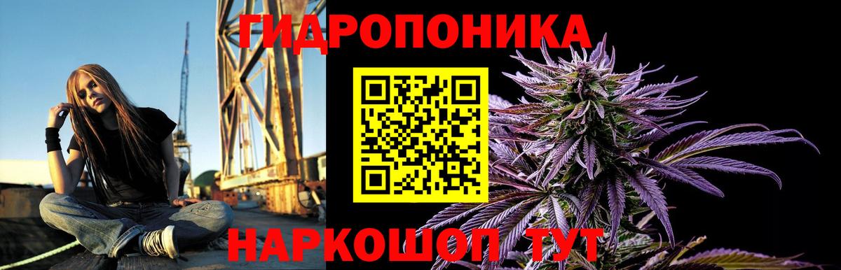 Каменск-Уральский  Канабис гибрид  Бошки Шишки SATIVA & INDICA  Вход с VPN 